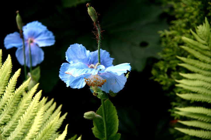 201207098226.jpg