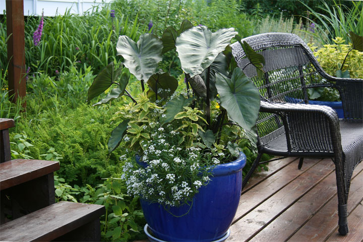 201207098228.jpg