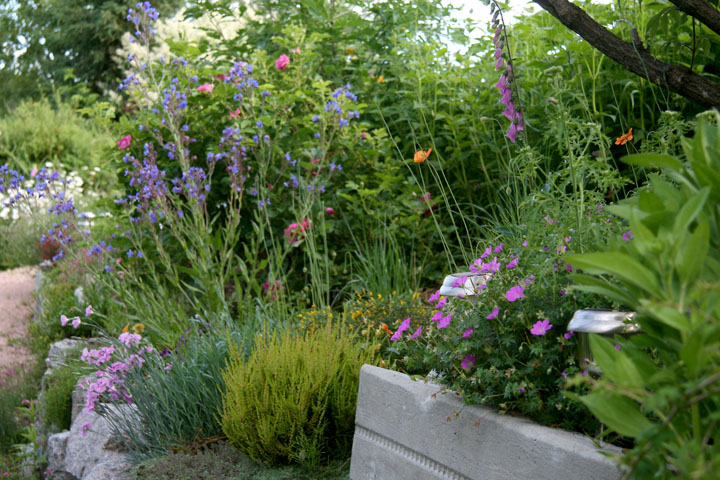 201207098229.jpg