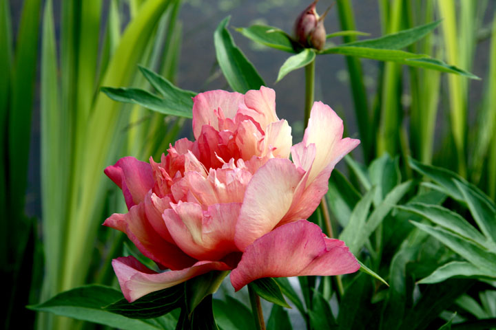 201207098231.jpg