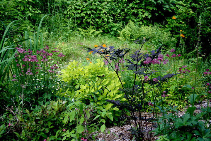 201207098233.jpg
