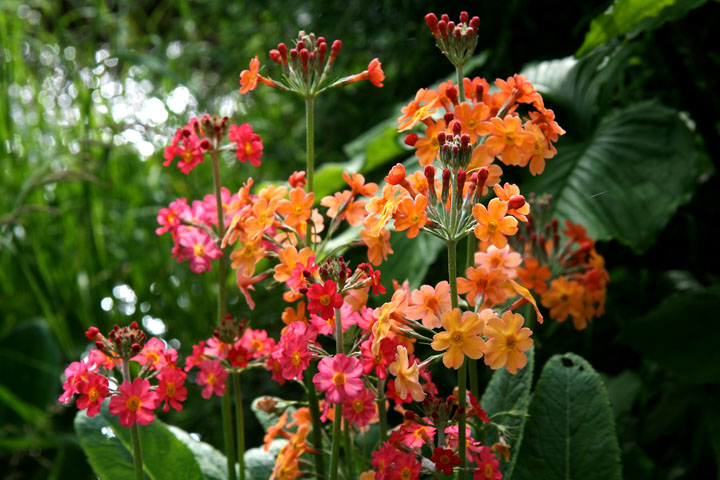 201207098240.jpg