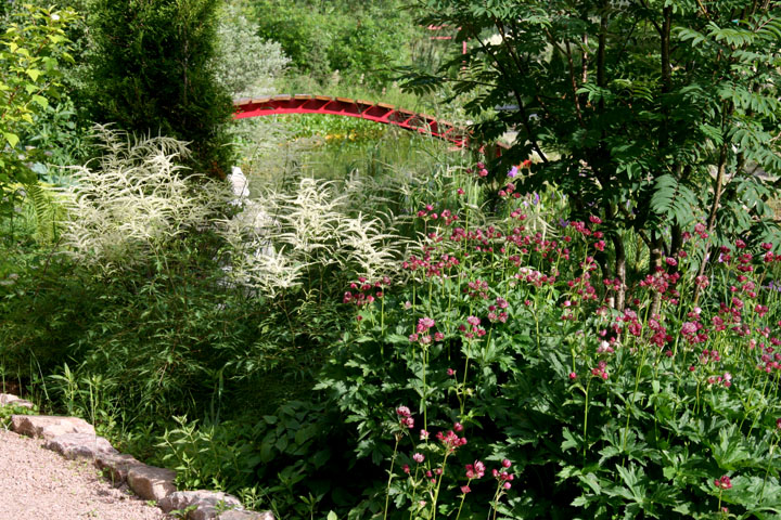 201207098242.jpg