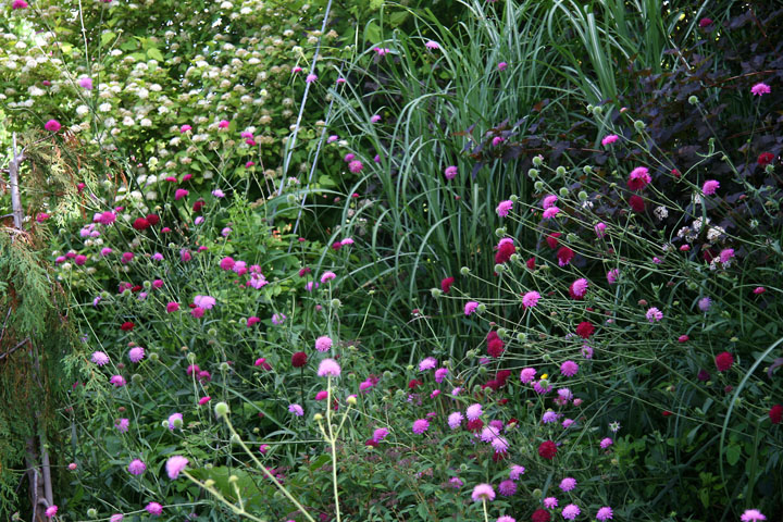 201207098244.jpg