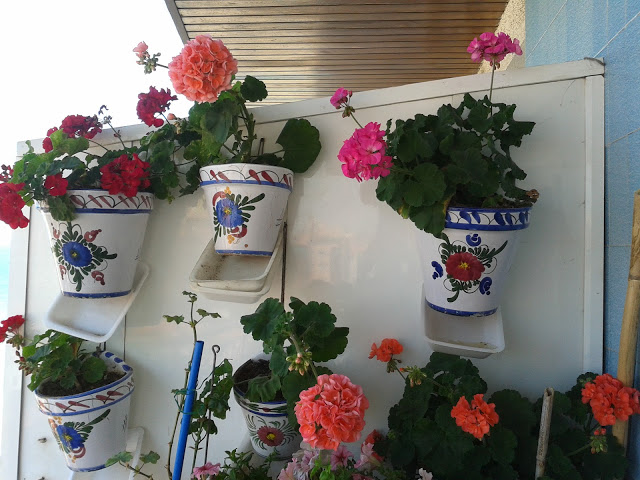 20120725_134629.jpg