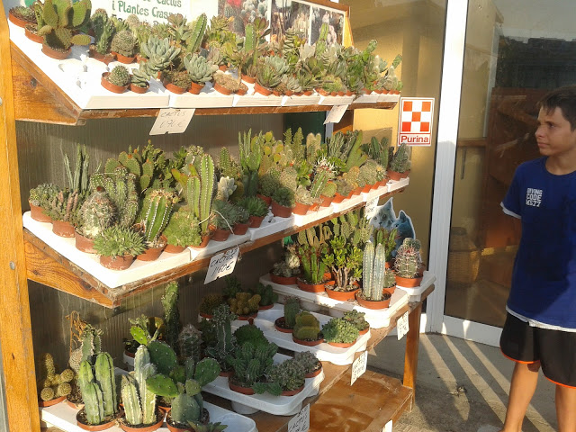 20120730_194312.jpg