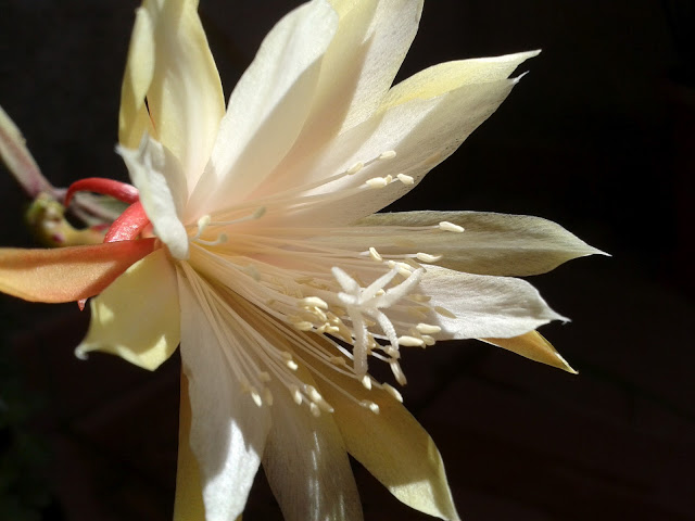20120813_145044.jpg