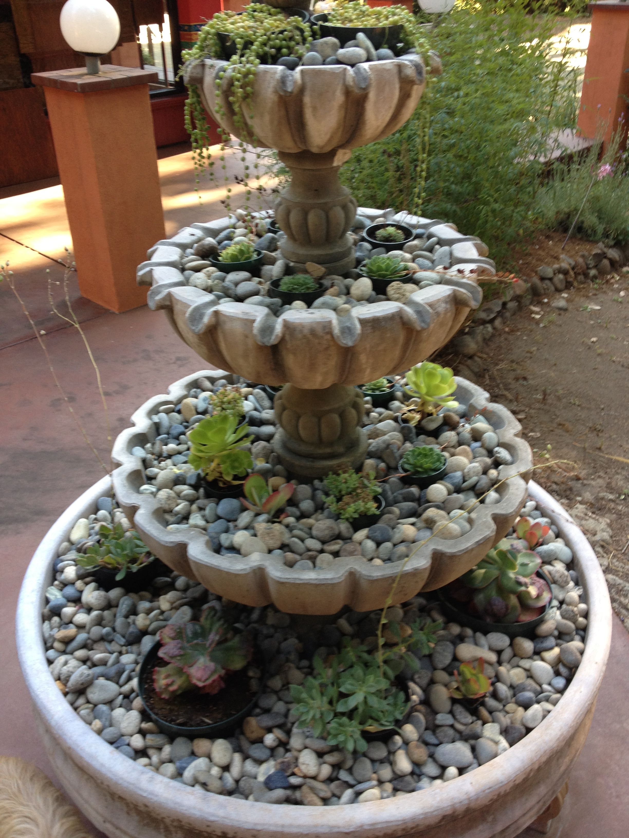 20120819-095605.jpg