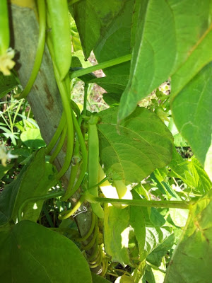 20121005_114244.jpg
