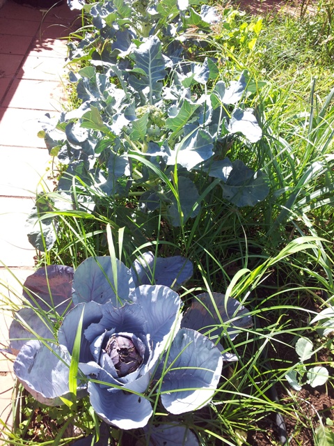 20121005_114312.jpg