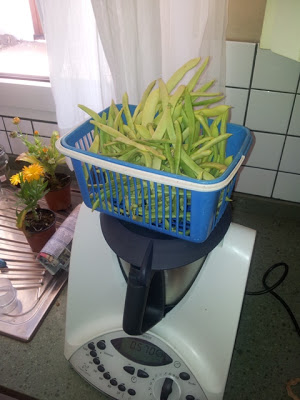 20121008_140704.jpg