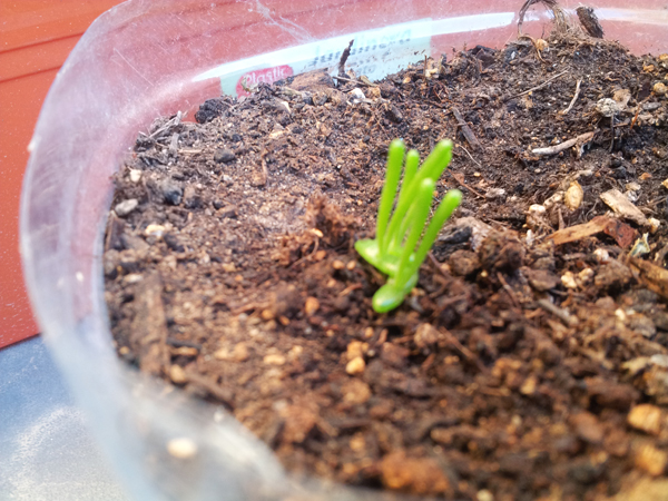 20121023-183121.jpg