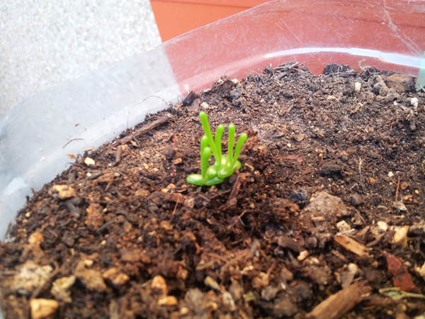 20121023-183140.jpg