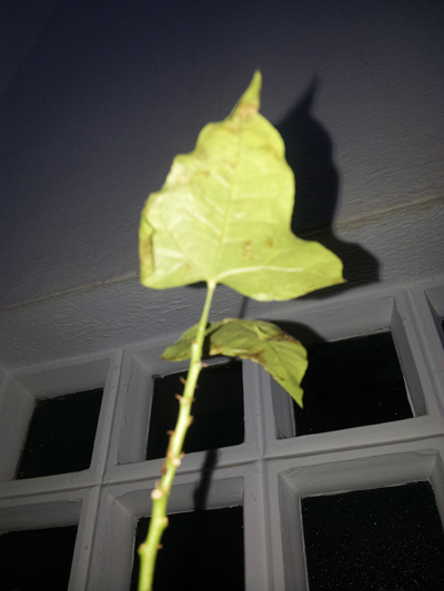 20121023-190324.jpg