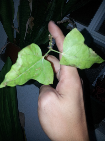 20121023-190400.jpg