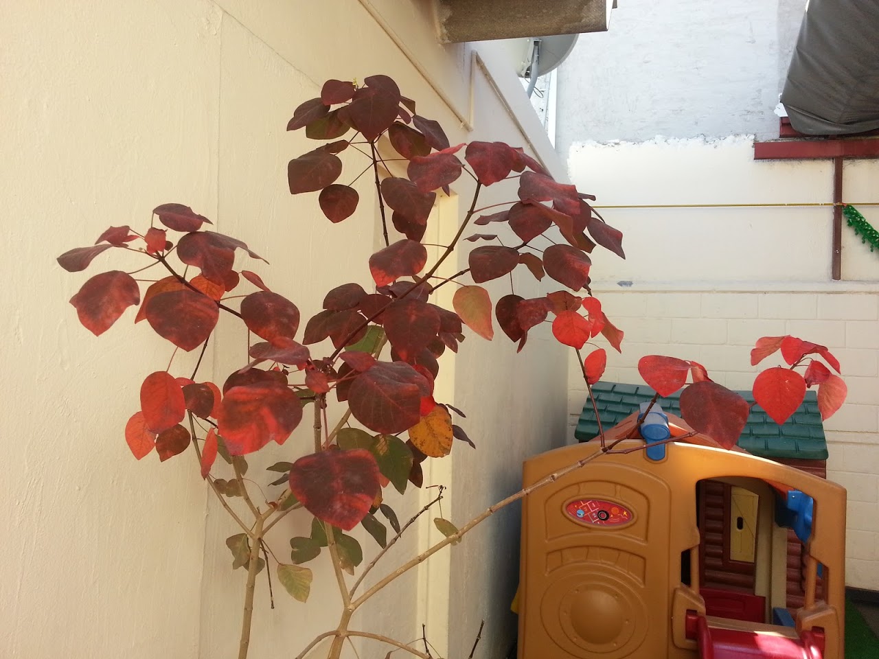 20121122_115757.jpg