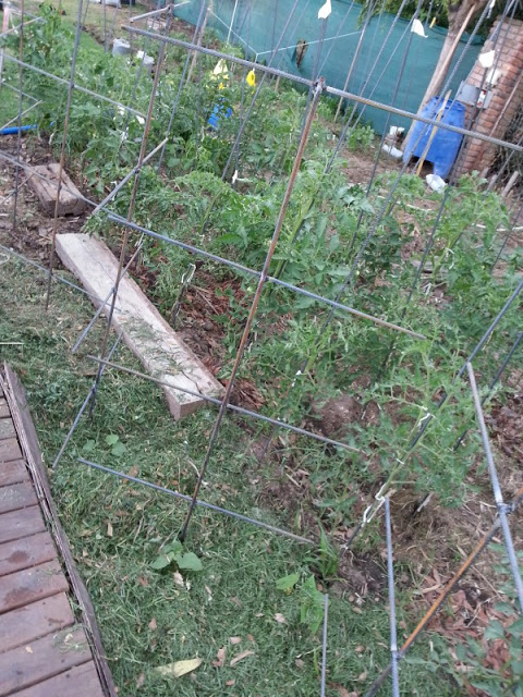 20121207_194914.jpg