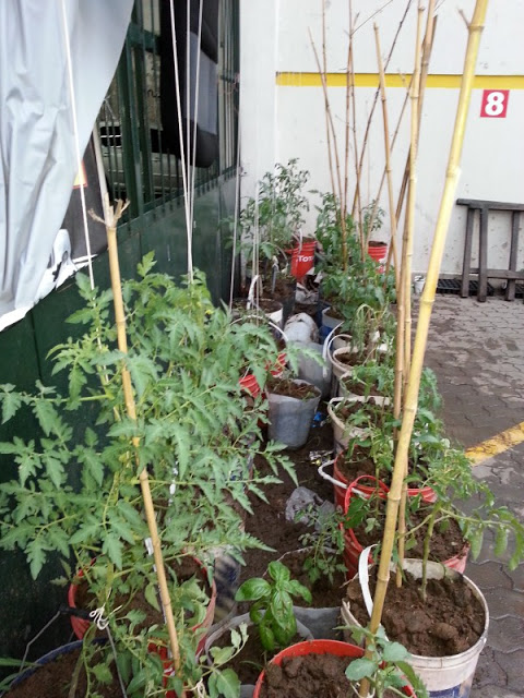 20121211_195954.jpg