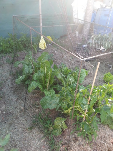 20121222_164847.jpg