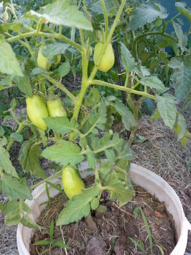 20121222_164954.jpg