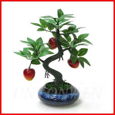 2012_Popular_Decorative_Fruit_Tree_Bonsai.jpg