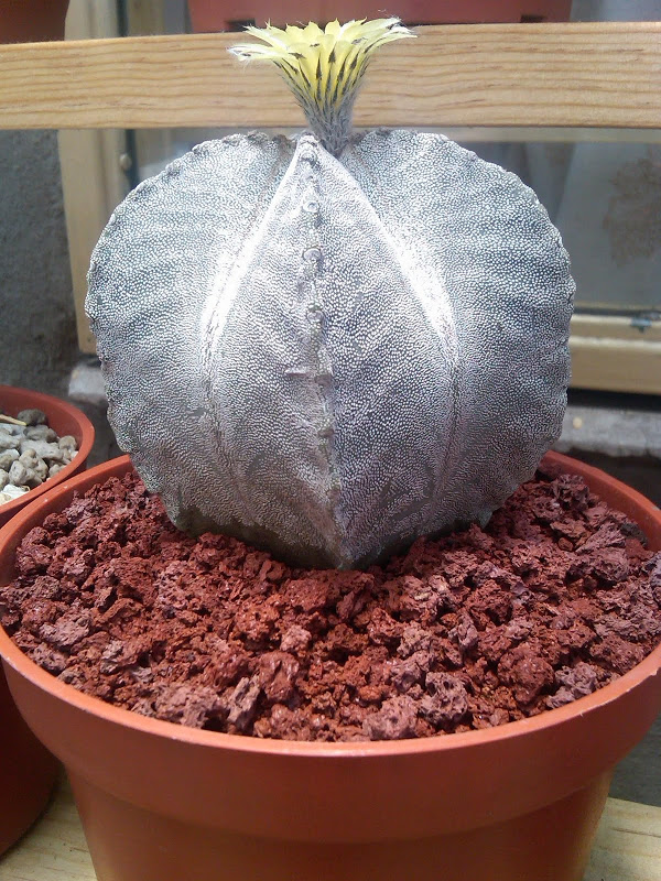 2012juniono09.jpg