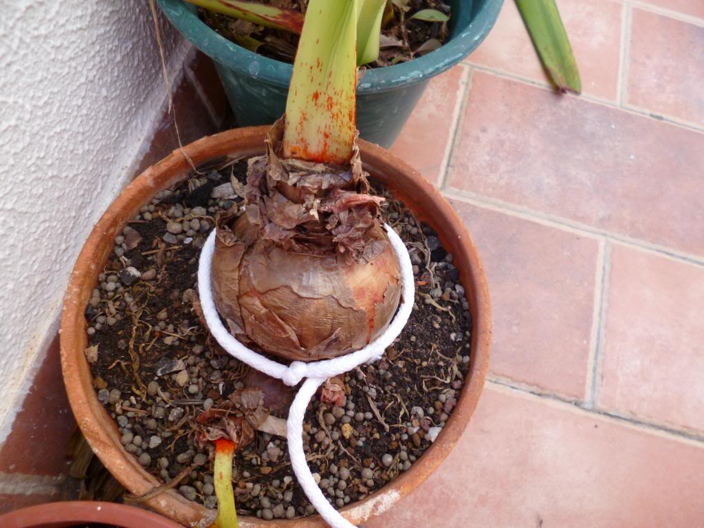 2013-01-21100110_zps5f66dbae.jpg