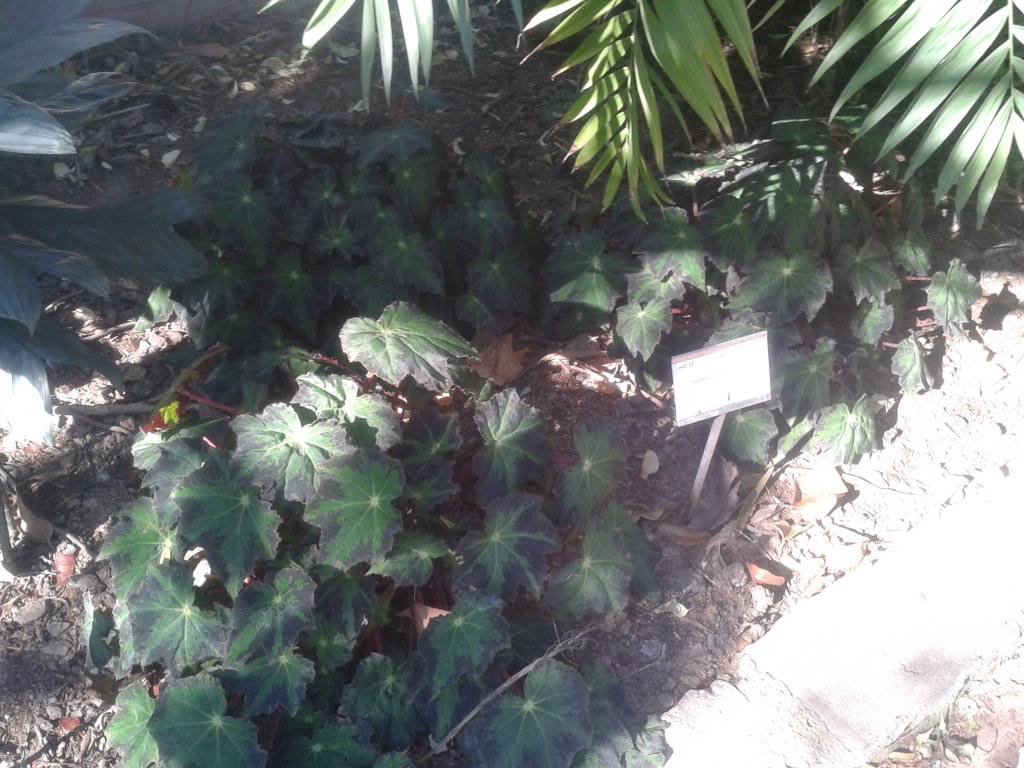 2013-02-03114622_zps389174aa.jpg