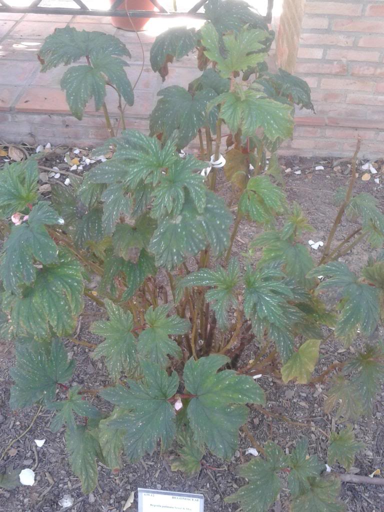 2013-02-03114850_zpsab155543.jpg