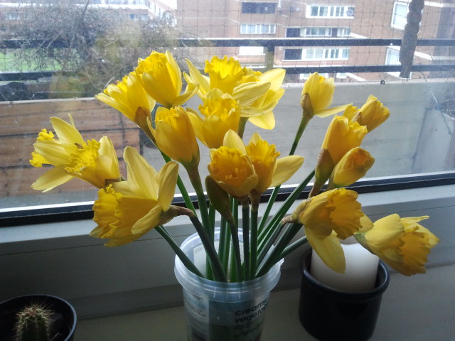 2013-02-12095408_zpsfc4e9a93.jpg