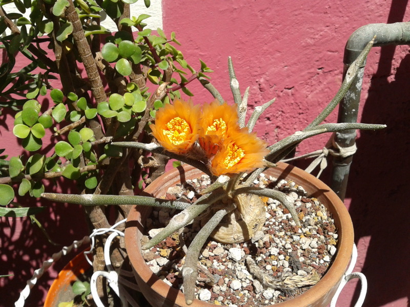 2013-02-23130603_zpsdb4b8a98.jpg