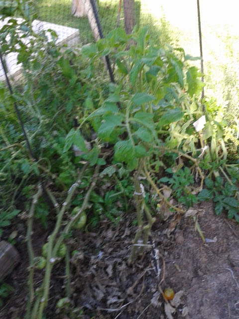 2013-02-27+16.37.25.jpg