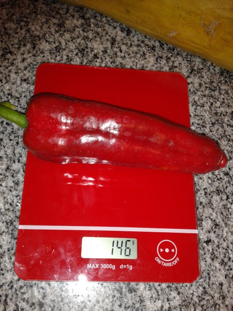 2013-02-27+17.20.40.jpg
