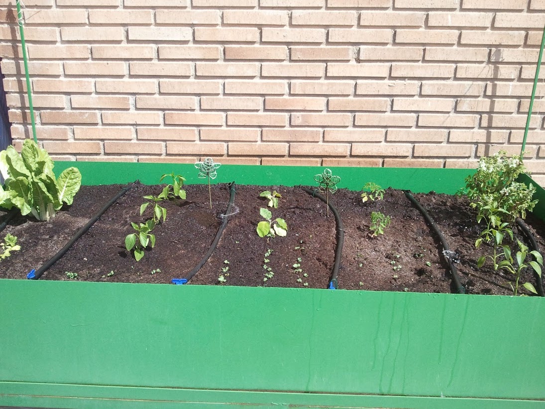 2013-04-07+12.42.20.jpg