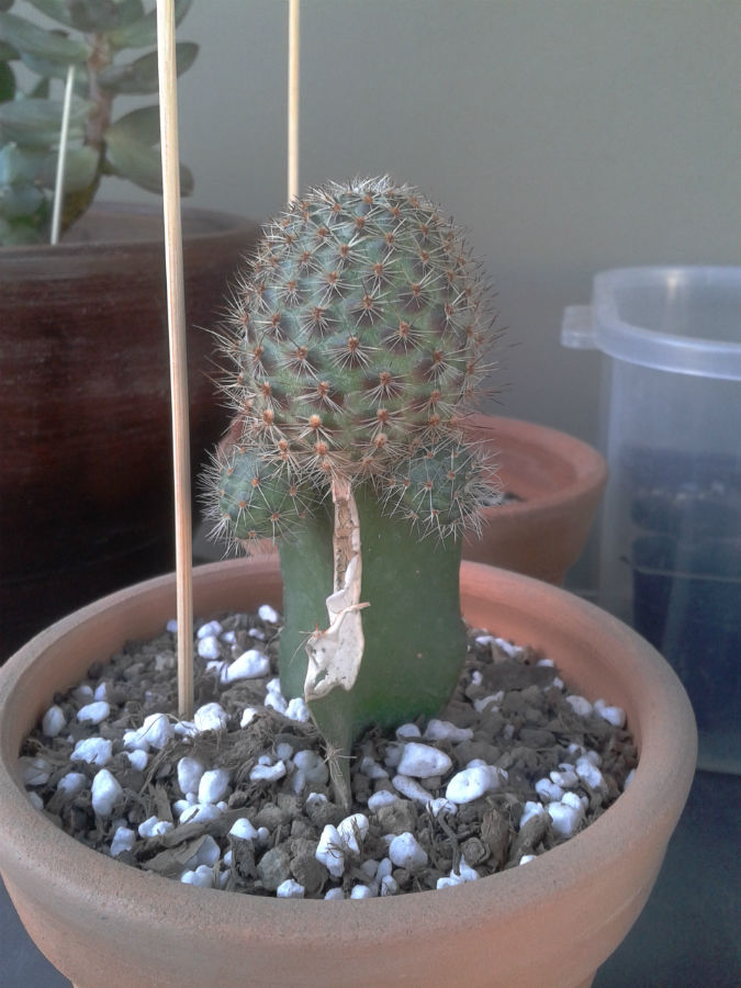 2013-04-11%2017.27.47.jpg