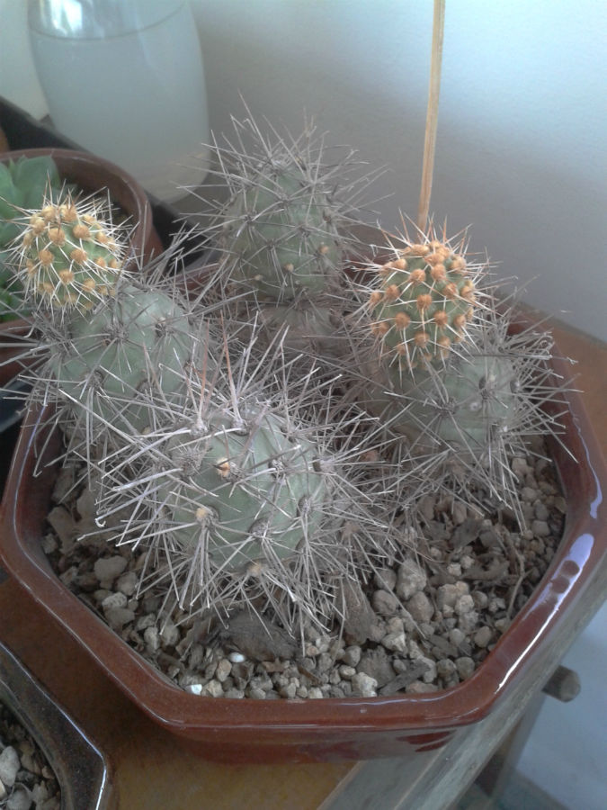 2013-04-11%2017.29.35.jpg