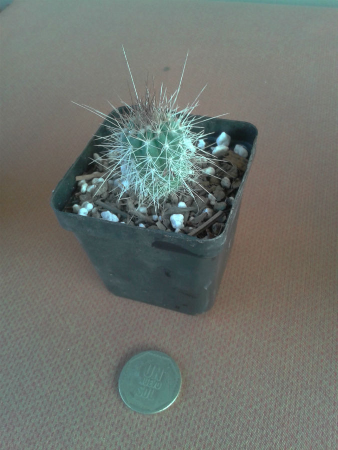 2013-04-11%2017.35.03.jpg
