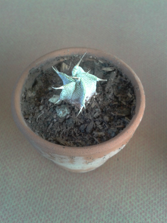 2013-04-11%2017.35.25.jpg