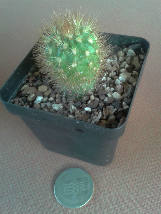 2013-04-11%2017.35.39.jpg