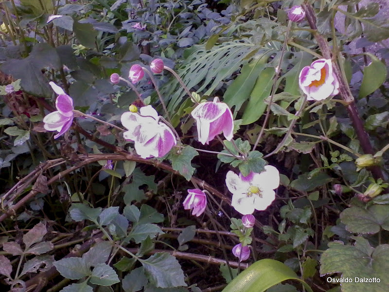 2013-04-13%252008.44.18_L.jpg