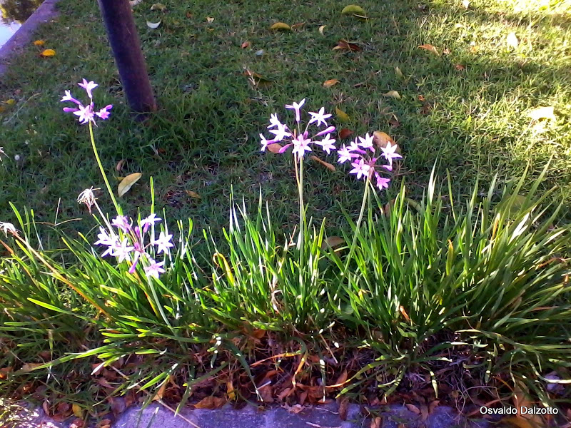 2013-04-13%252008.55.37.jpg