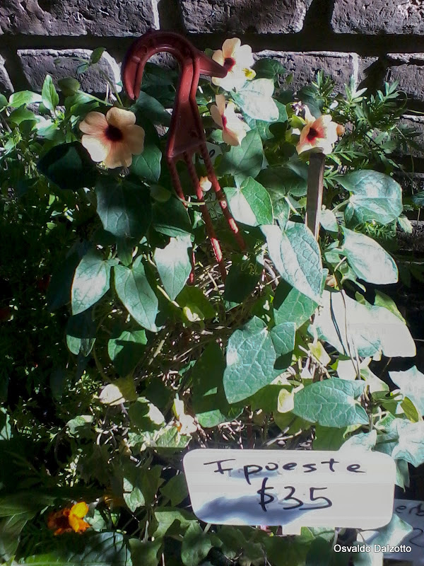 2013-04-13%252010.08.40_L.jpg
