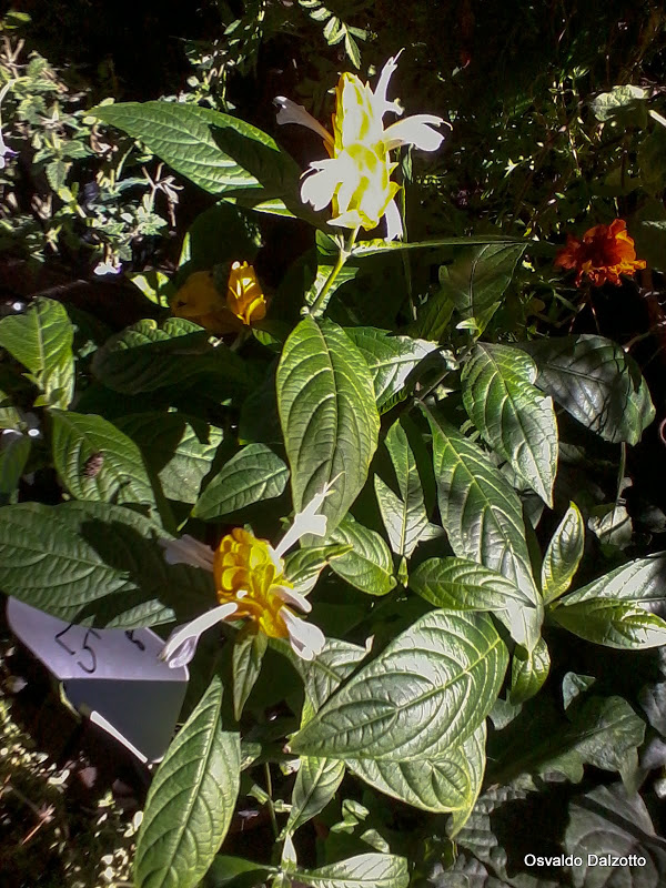 2013-04-13%252010.09.15_L.jpg