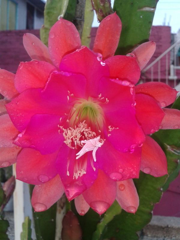 2013-04-26074230_zps418c99f6.jpg