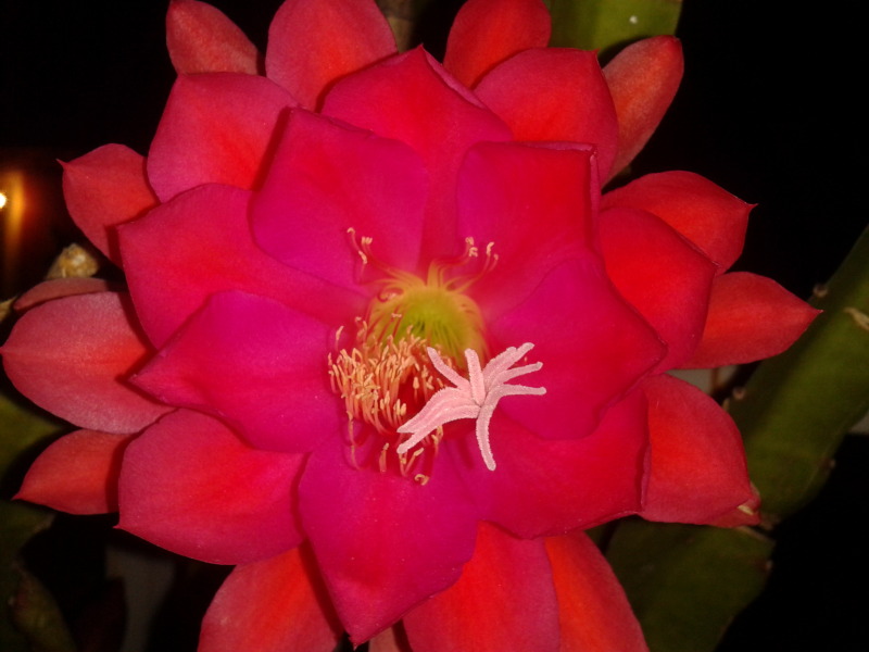 2013-04-26230324_zps7efa1636.jpg