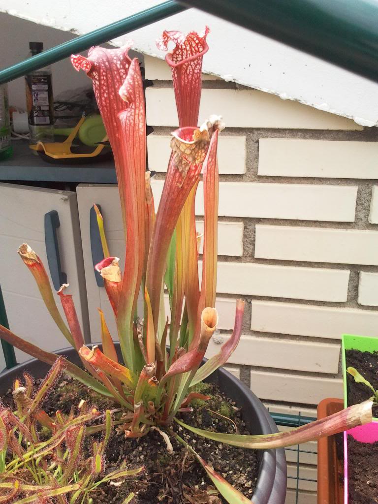 2013-05-02145145_zps437f38ab.jpg