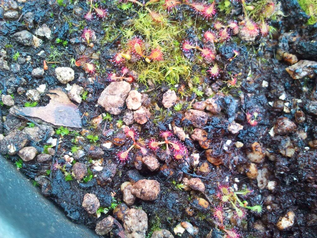 2013-05-02145538_zps71105590.jpg