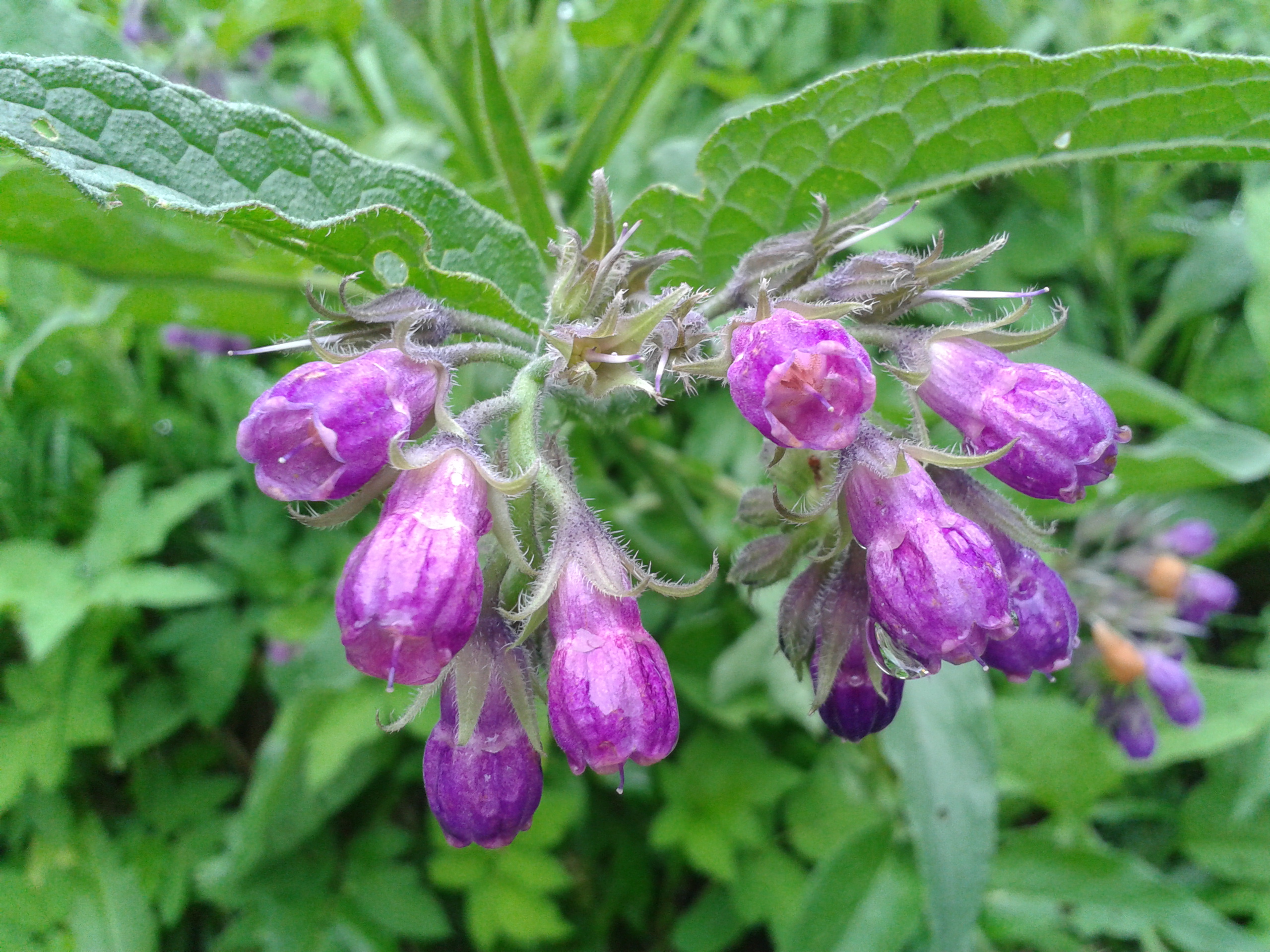 2013-05-11-16-56-54.jpg