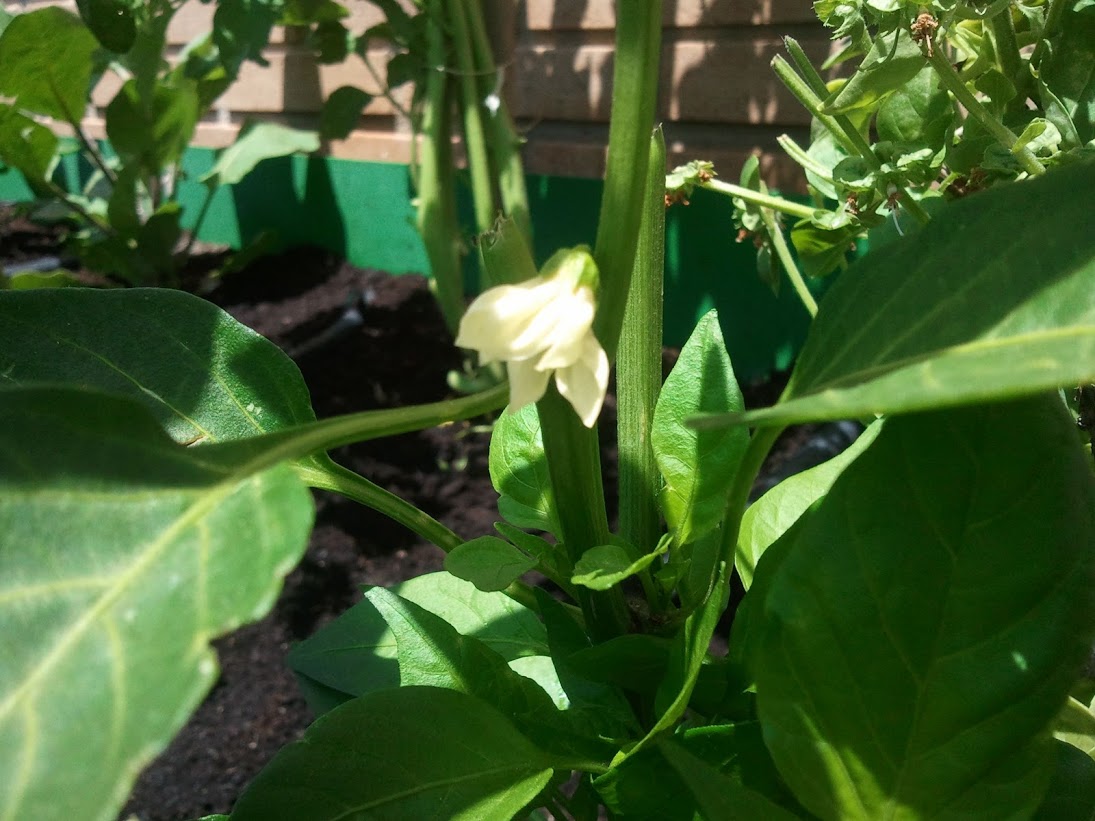 2013-05-12+13.55.20.jpg