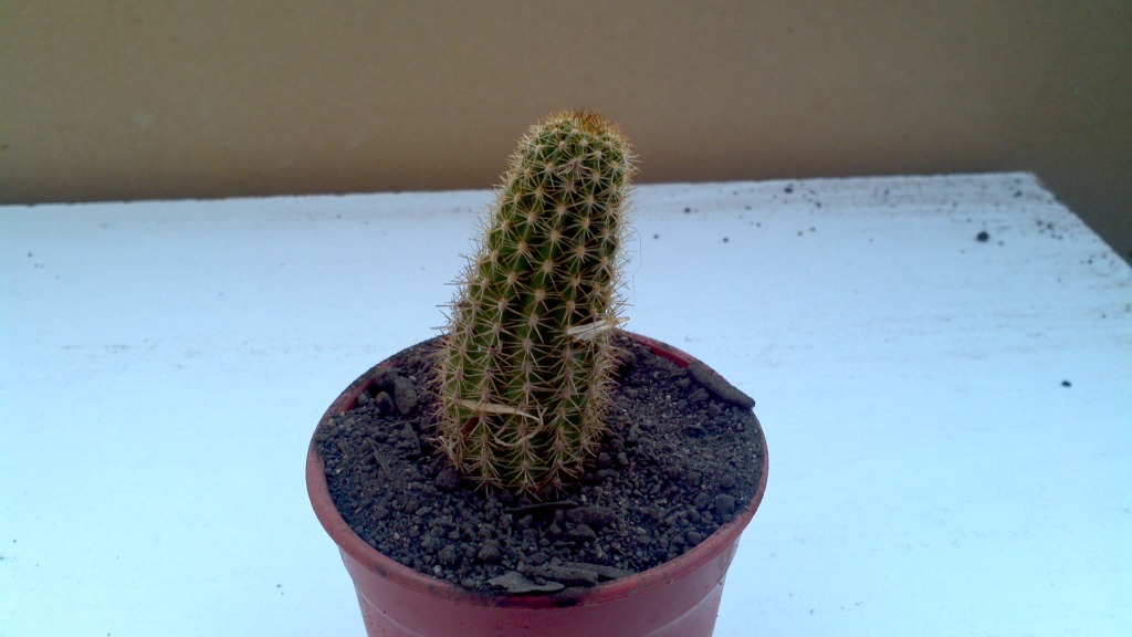 2013-05-21_09-31-39_834_zps6185ffe6.jpg